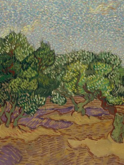 overdose-art: Vincent van Gogh, Olive Trees