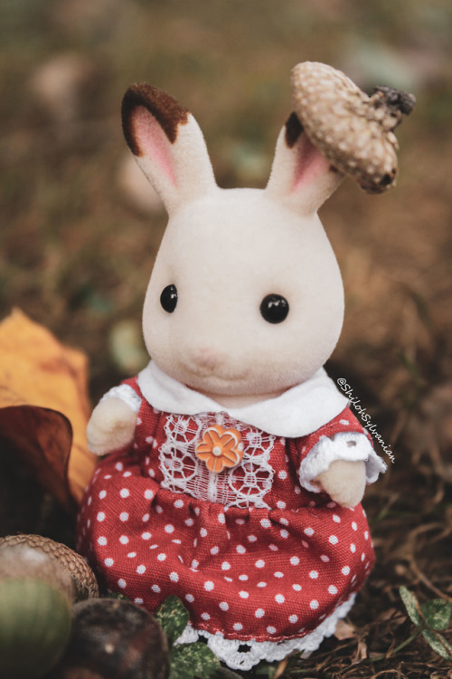 shiloh-sylvanian:Acorn hats!