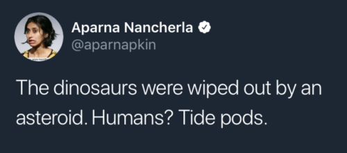 the dinosaurs were wiped out by an asteroid