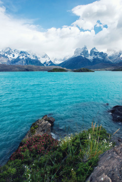 mstrkrftz:  Lago Pehoe, Patagonia by danielpivnick 