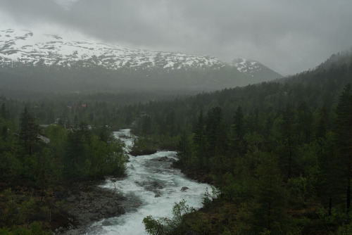 expressions-of-nature:  Rivers by Sara Spinelli