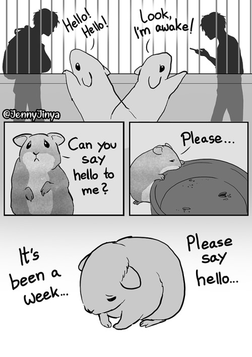 CW: animal neglectCan we talk about hamsters? ;_;Webtoons