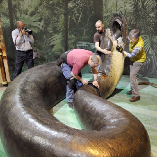 Titanoboa cerrejonensis