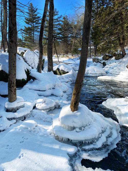 oneshotolive:  Black Creek, Murphy’s Point Provincial Park, Ontario Canada [3024x4032] (OC) 📷: lovelyb1ch66 