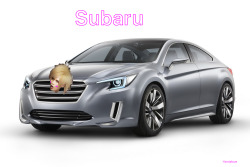 Subaru drive it! XDDD  