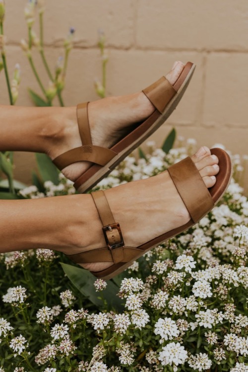 Basic brown banded leather sandals on pretty feet.