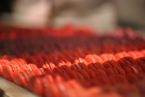 Happy New Years!  Start 2013 off right by checking out our delicious Rose Oolong Macaron recipe