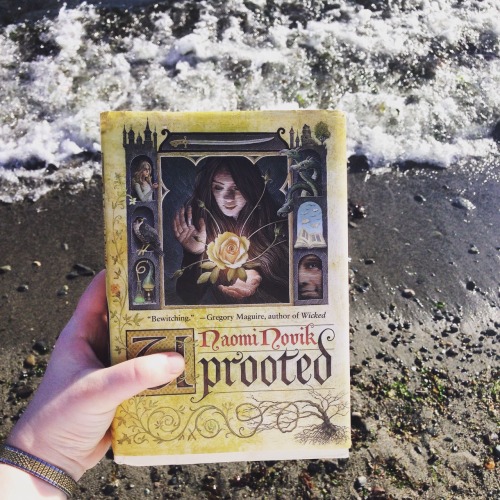 livylousbookreviews:Beach day with bae It’s so nice to reread this at a leisurely pace so I can pick