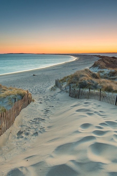 agracefulheart:  “There is nothing more beautiful than nature early in the morning.”— 	Vincent Van Gogh 