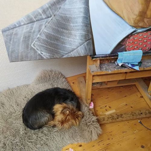 That’s just how I like it. In my studio, blissfully quiet, with my dog at my feet.ift.