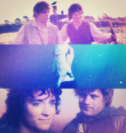 greenwood-the-great:  Frodo wouldn’t have
