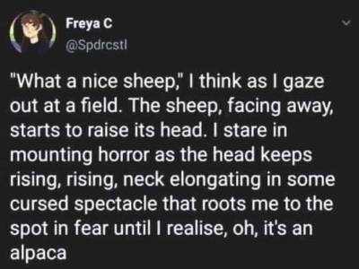 meirl