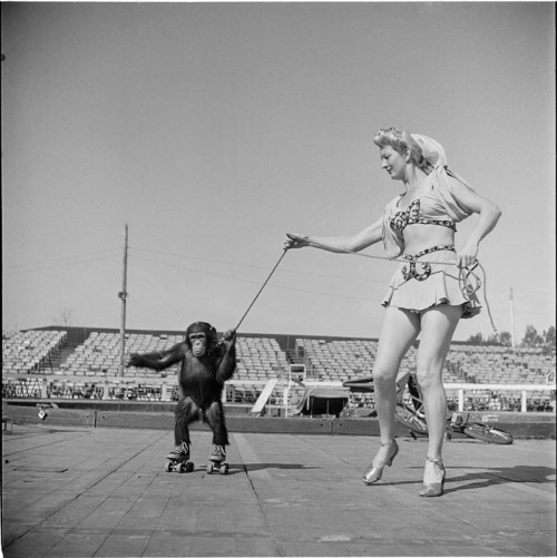 Woman With Rollerskating Monkey – 1948