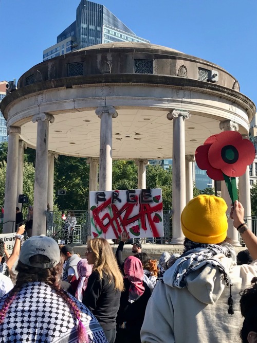 BOSTON COALITION FOR PALESTINE SHUT DOWN STORROW DRIVE FOR 30 Min 10/6/24!