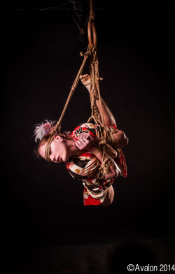 123avalon:  Model : Dealande - Rope &amp; Photo: Avalon - Sydney Rope Dojo