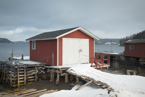 lensblr-network:Petley, Newfoundland.On Random IslandThe wharf in winter.by John King  (jckingca.tum