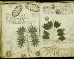 mothernaturenetwork:  The Voynich Manuscript is a detailed 240-page book written in a language or script that is completely unknown. Its pages are also filled with colorful drawings of strange diagrams, odd events and plants that do not seem to match