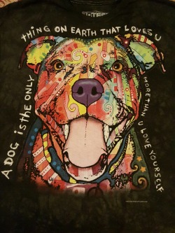 pitbulls & tattoos