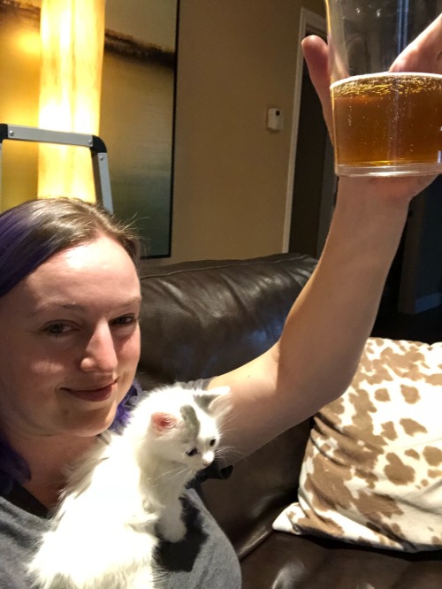 i-want-to-be-wonderwoman:  lilragekitten:   fail-boat:  fail-boat:   fail-boat:   fail-boat:  My foster kitten  is trying    to steal   my beer.   Guys…  Please…  turn the sound on and watch my friends foster kitten yell at her because she won’t