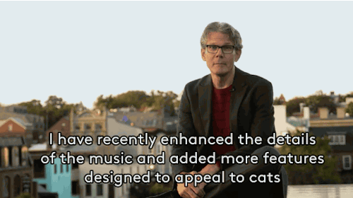 literal-ghost: guruwithin: theacademicpony: refinery29: Music For Cats Is Real And It’s The Pu