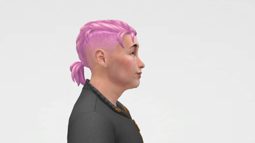 I Understand How To Modify Maxis.