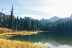 vhord:  northwezt:  Crystal Lake, Mt. Rainier (Oct. 4, 2015)   strictly nature