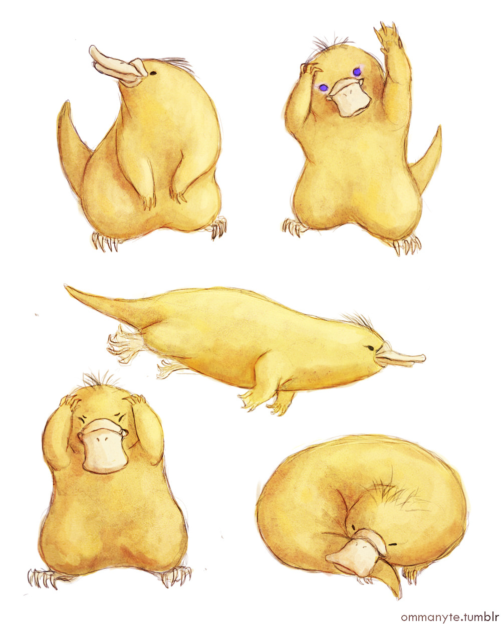 ommanyte:Even from when I was a kid, I always thought psyduck was not a duck per