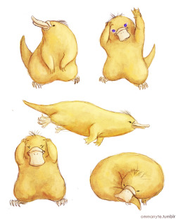 ommanyte:Even from when I was a kid, I always thought psyduck was not a duck per se, but rather a duck billed platypus. 