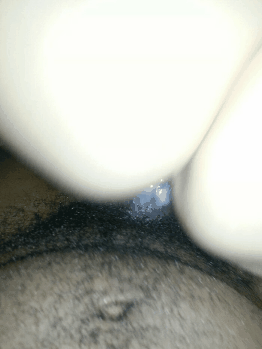 thatmudfish:  Fucking