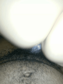 thatmudfish:  Fucking porn pictures