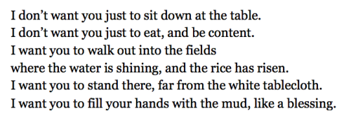 amethystgold:januaryhoney:rice, mary oliver[I don’t want you to just sit at the table.I don’t want y