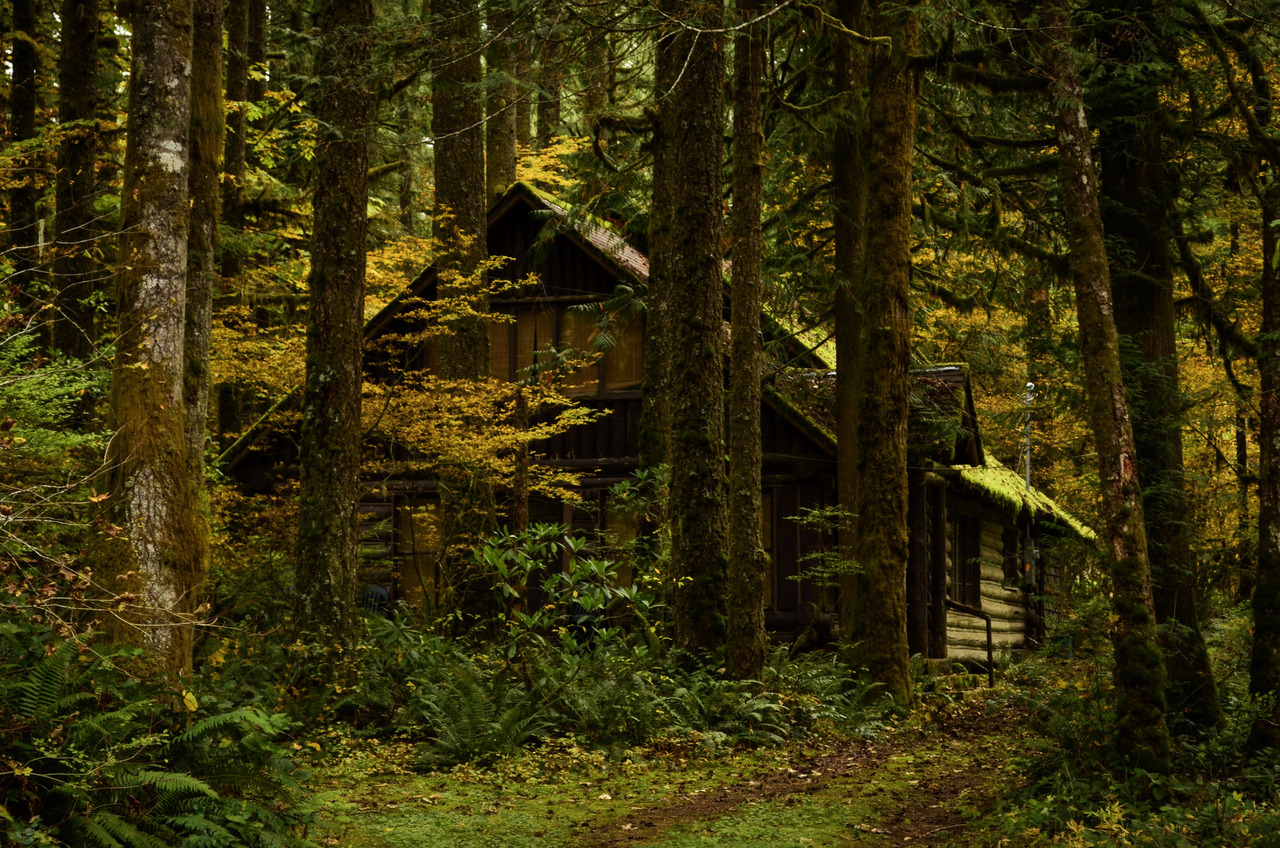 haleywillner:Cozy little cabin, tucked away somewhere deep in the woods 
