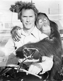 Clyde the orangutan gets cozy with Clint