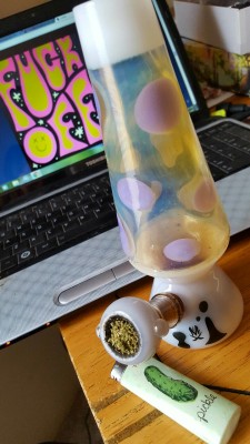 godshideouscreation:  tiannajuana:  cannabiskat420:  the-happy-high:  I love this thing too much!✌👽💙  I need one of these so much. 😍  Saaaame omg.  It’s so fucking gorgeous.