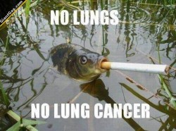 giantgag:  No Lungs, No Lung CancerClick