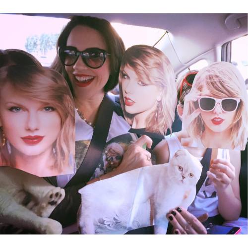 oh, you know, just riding to the @taylorswift concert with my girls and the cats @oliviabswift @mere