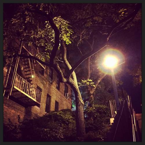 Just another magical night in the heights. #washingtonheights #cityliving #cityscape #citylife #nyc 