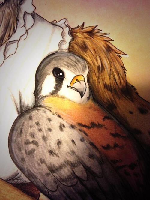 Burd... For Eurofurence Art-Show
