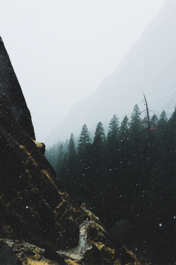 n-c-x:  vhord:  feeduslife:  joel:  Untitled  strictly nature  nature blog