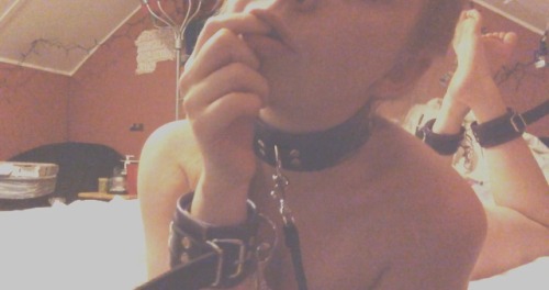 xxii-mmxi: Can someone come play with me? A pet gets really frisky before her bed time. 