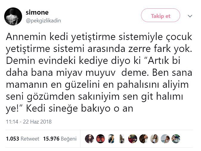 Annemin kedi yetiştirme...