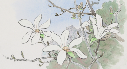 jenology-archive:The Tale of Princess Kaguya (2013)