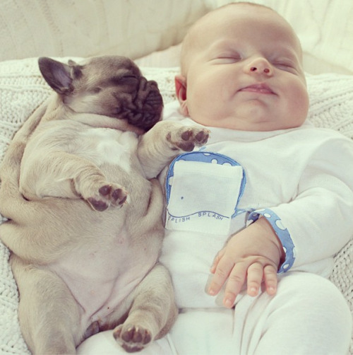 bnenetwork:  Babies and bulldogs. That’s all.  