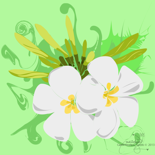 Vectoring - Random flower. :)