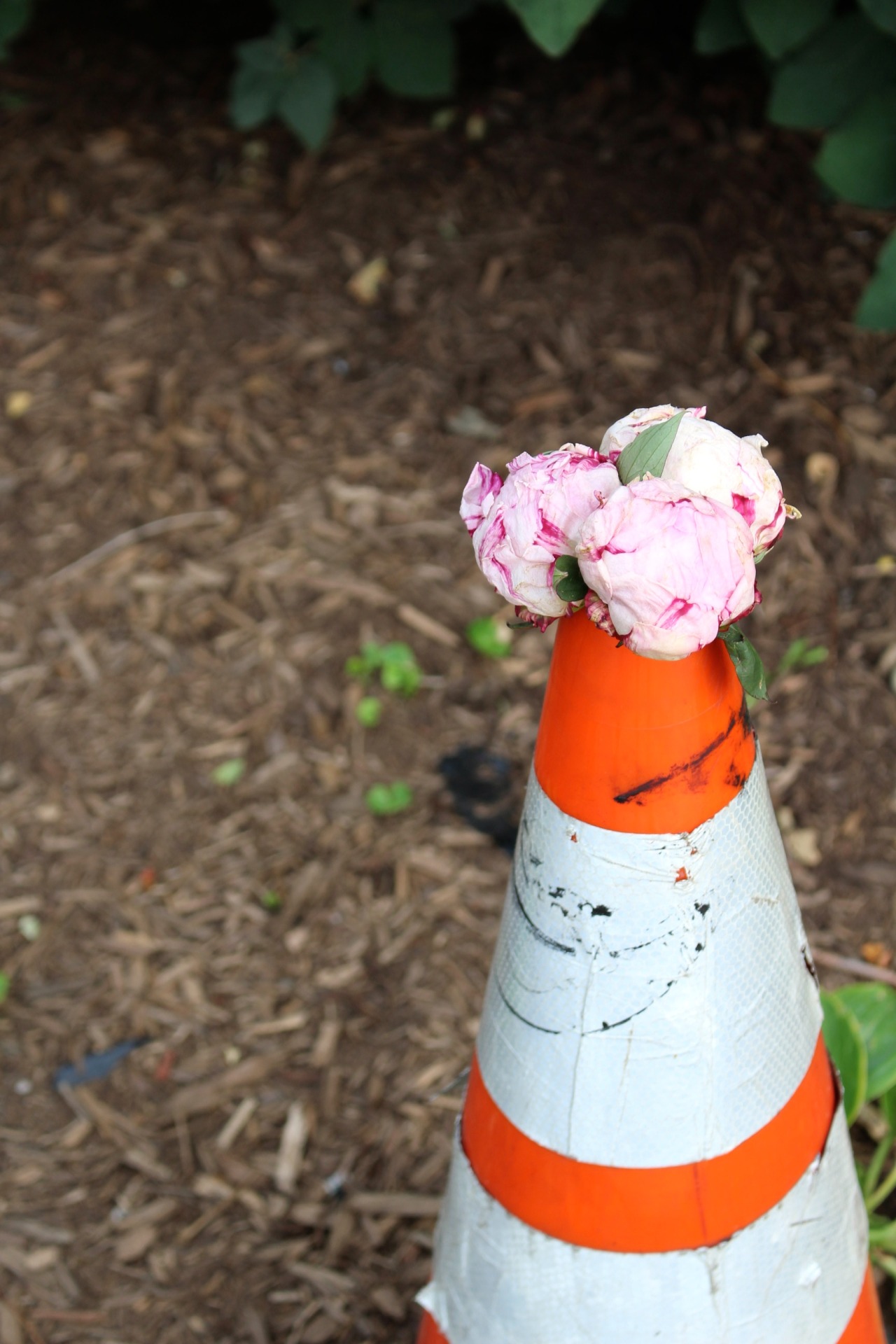 minteriorsblog:  Fort Greene Flea in Brooklyn on Saturday 