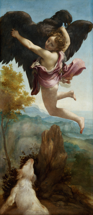 v-ersacrum:Correggio, The Abduction of Ganymede, 1520-1540