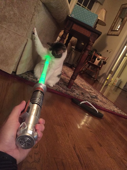 1-purple-lightsaber:So my mom’s friend stabbed my cat, I call this masterpiece “Qui-Gon Jinn Part 2”