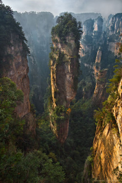 joyfulgrl:  Zhangjiajie National Park in China