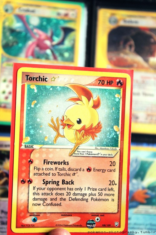 pokemon-photography:Shiny Torchic - Ex Team Rocket Returns