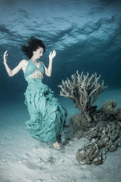 shesbreathlessunderwater2: aquafandom: shesbreathlessunderwater2: uwfantastic: www.mermaid